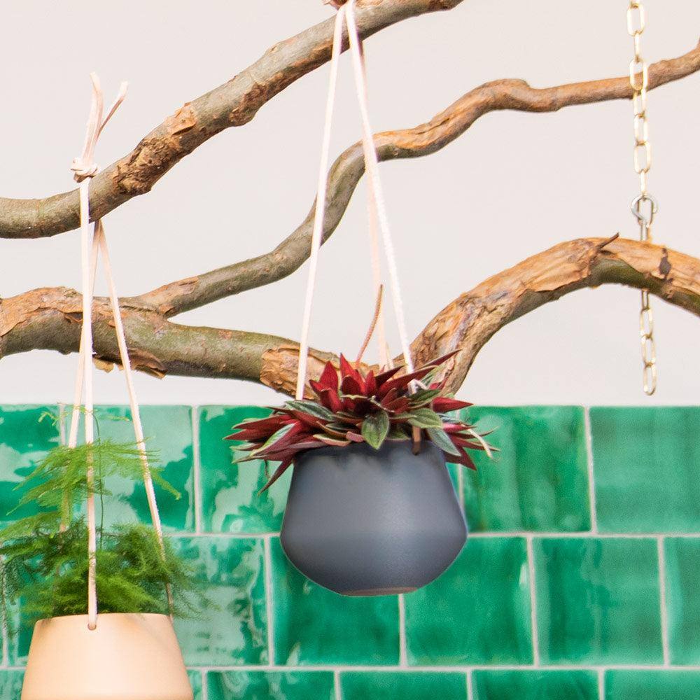 Present Time Skittle Hanging Ceramic Planter Small - Night Blue