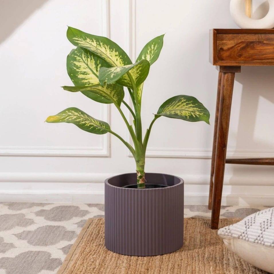 Ripples Home Midori Planter Medium - Brown