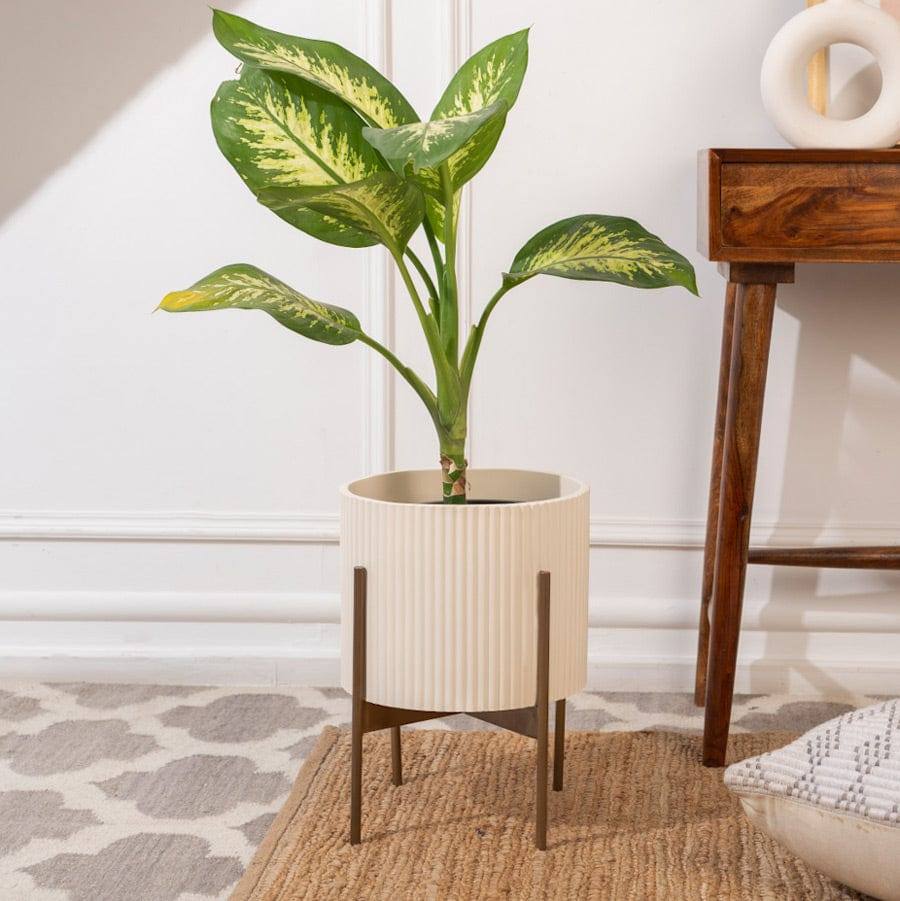 Ripples Home Midori Planter with Stand Medium - Beige