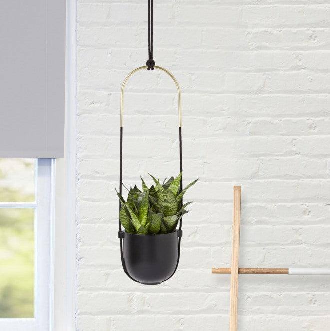 Umbra Bolo Hanging Planter - Black